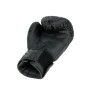 Youth  Combat Series boxing Gloves 4 BG