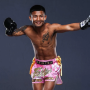 Fairtex Sakura Muay Thai Fight Shorts - BS SAKURA