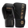 Mayweather Champ Boxing Gloves