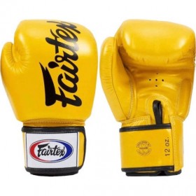 Fairtex BGCV19 Gloves