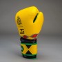 Joyagear X Poatan Performance Tribal Boxing Gloves