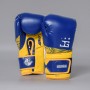 Joyagear X Burns Performance Boxing Gloves