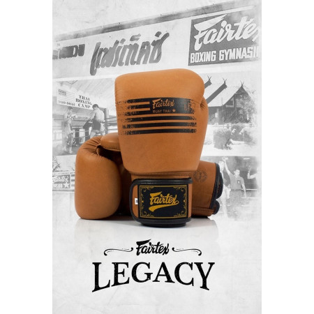 Luvas Fairtex BGV21Legacy