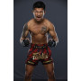 Fairtex Rodtang Shorts