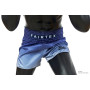 Fairtex Fade Blue Shorts