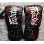 Fairtex Art Painter BK Gloves