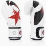 Fairtex  Boxing Gloves  BGV1 Nation Prints White