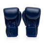 Fairtex BGV1 Boxing Gloves Blue