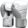 Hayabusa T3 Boxing Gloves  White/Grey