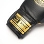 Joyagear X Windy Boxing Gloves Black/Gold