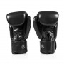 Guantes de Boxeo Fairtex BGV1C-PLUS