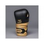 Joyagear Performance V2 Boxing Gloves Black/Gold