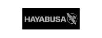 HAYABUSA